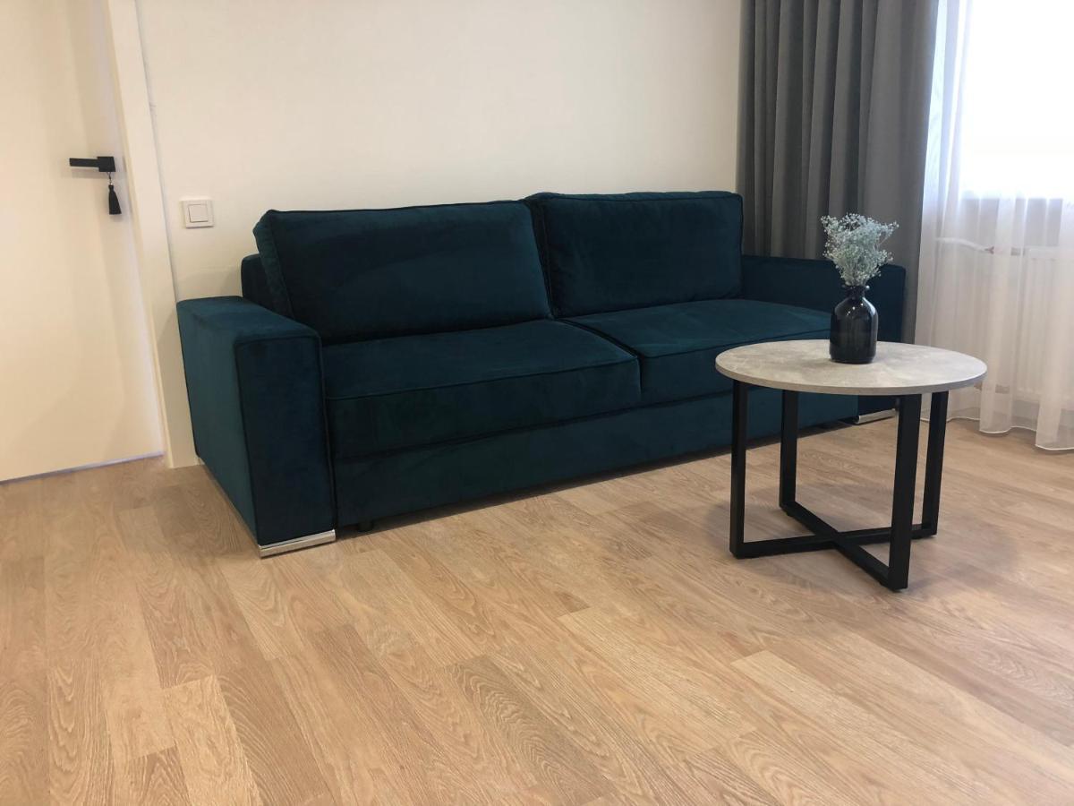 Good Night Apartaments Panevėžys エクステリア 写真