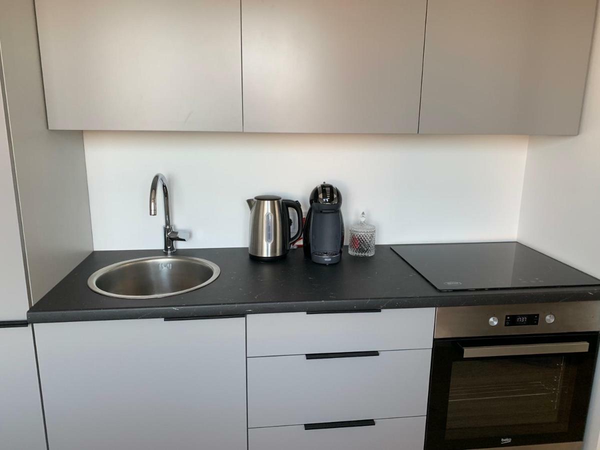 Good Night Apartaments Panevėžys エクステリア 写真